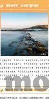 2017世界杯男篮-2017世界杯男篮，激情与荣耀的舞台