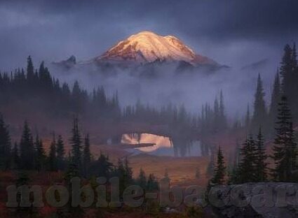 竞彩网竞彩足球比分直播-竞彩网竞彩足球比分直播，球迷的实时观赛新体验
